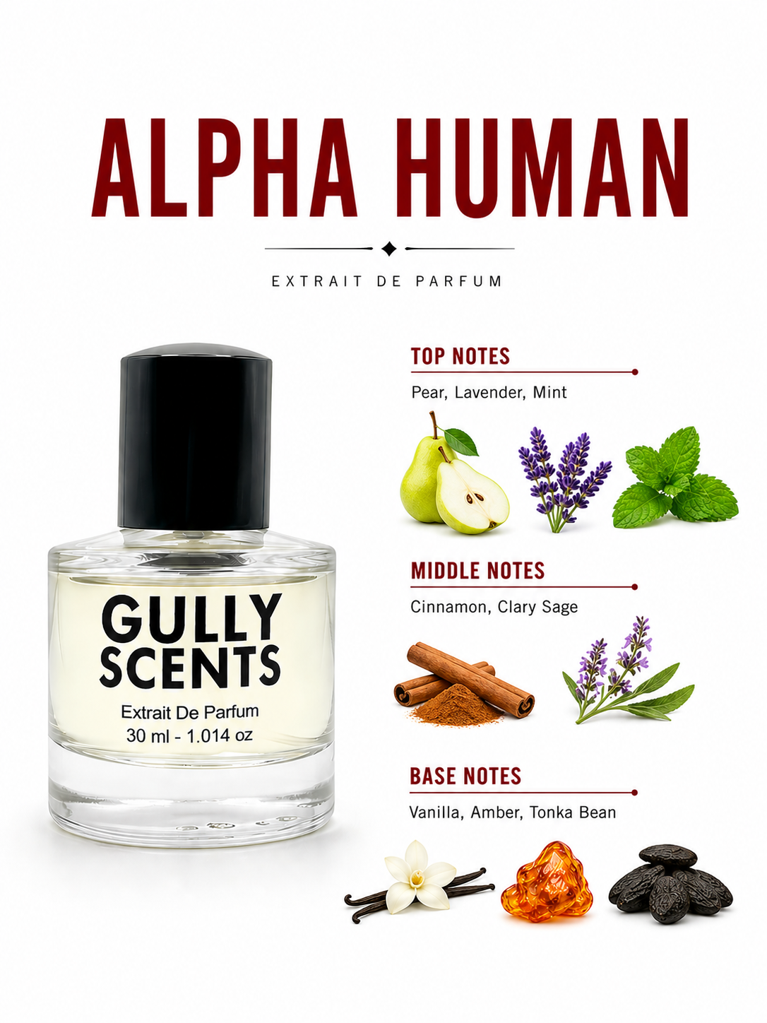 ALPHA HUMAN